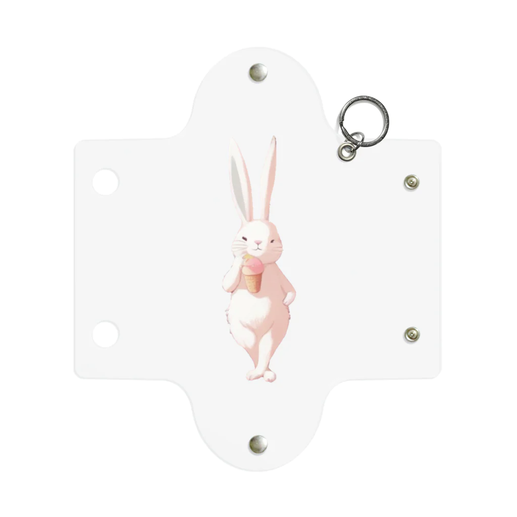 NaROOMのPopular Rabbit 🐰 Mini Clear Multipurpose Case