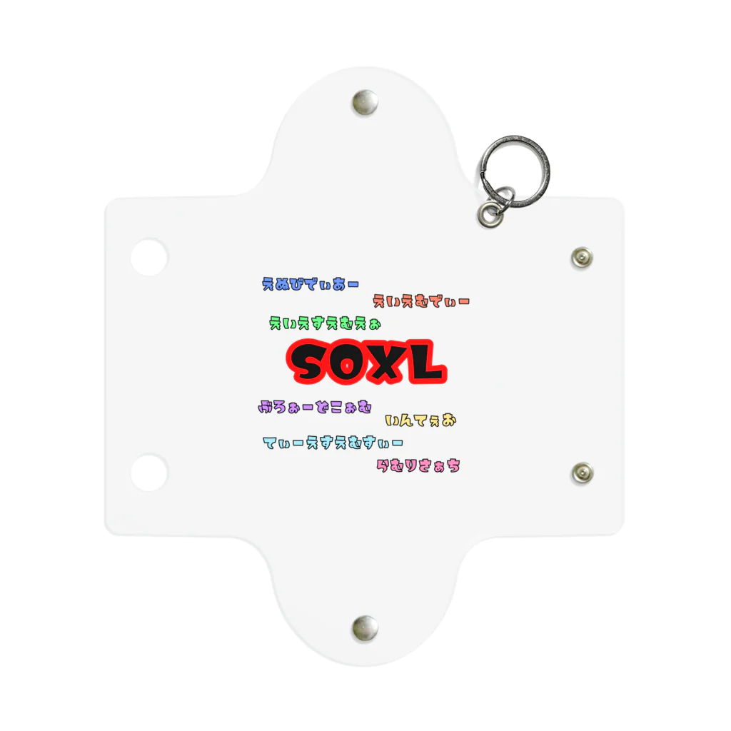 e430のSOXLホルダーによるSOXLホルダーのためのSOXLアイテム Mini Clear Multipurpose Case