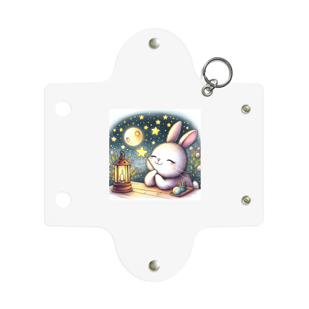 117hibikiのうさぎ🐇 Mini Clear Multipurpose Case