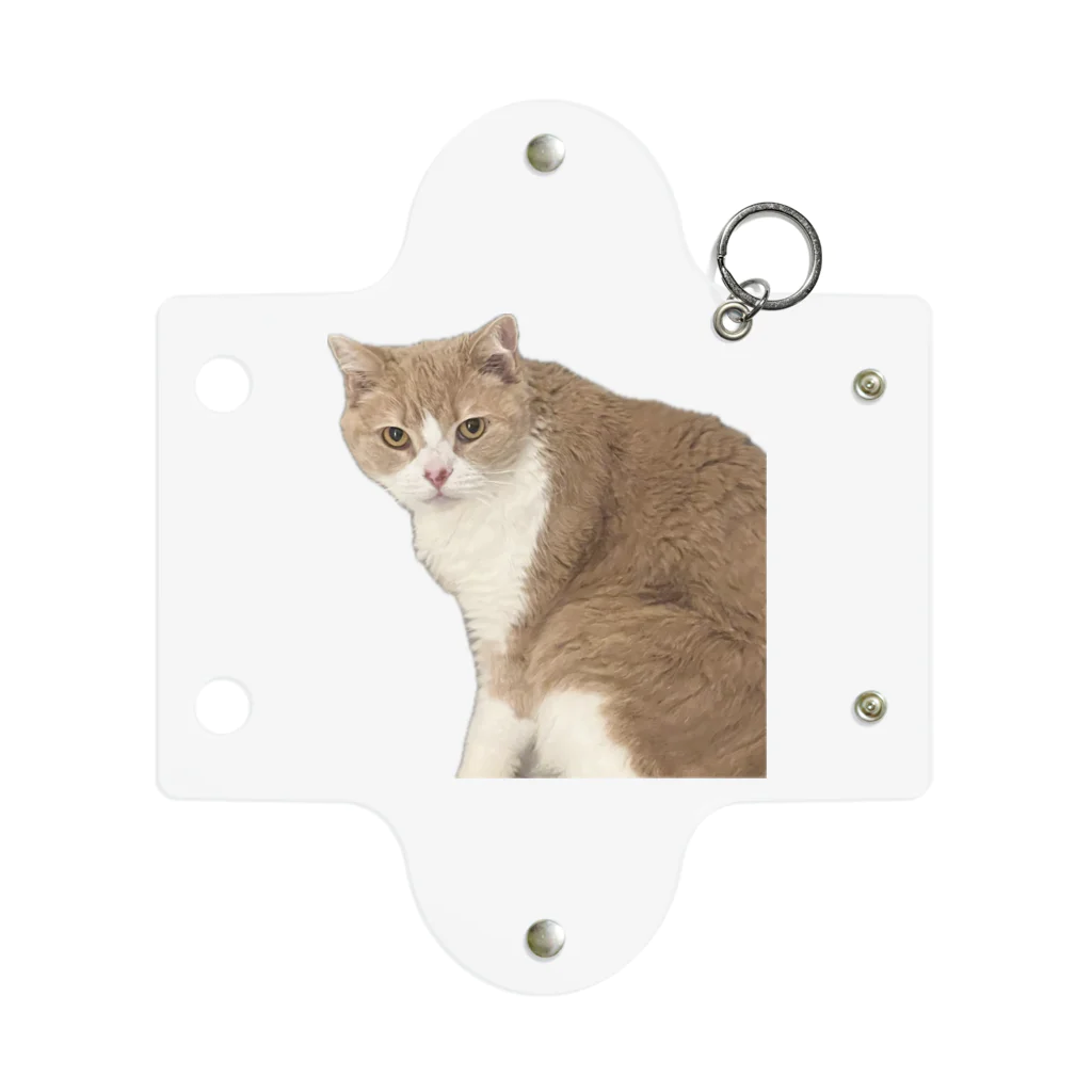 Mashlyのマシロくん猫グッズ Mini Clear Multipurpose Case