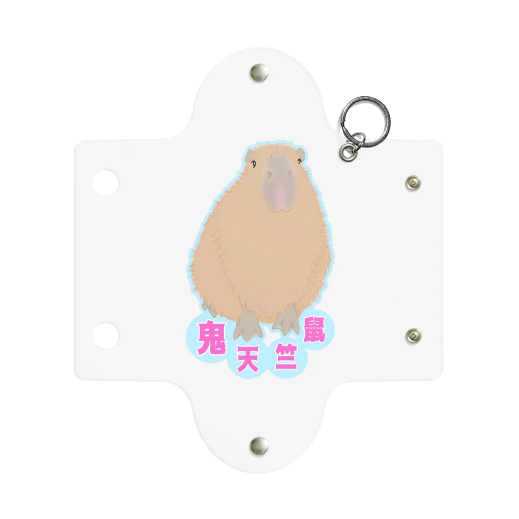 LalaHangeulの鬼天竺鼠(カピバラ) Mini Clear Multipurpose Case