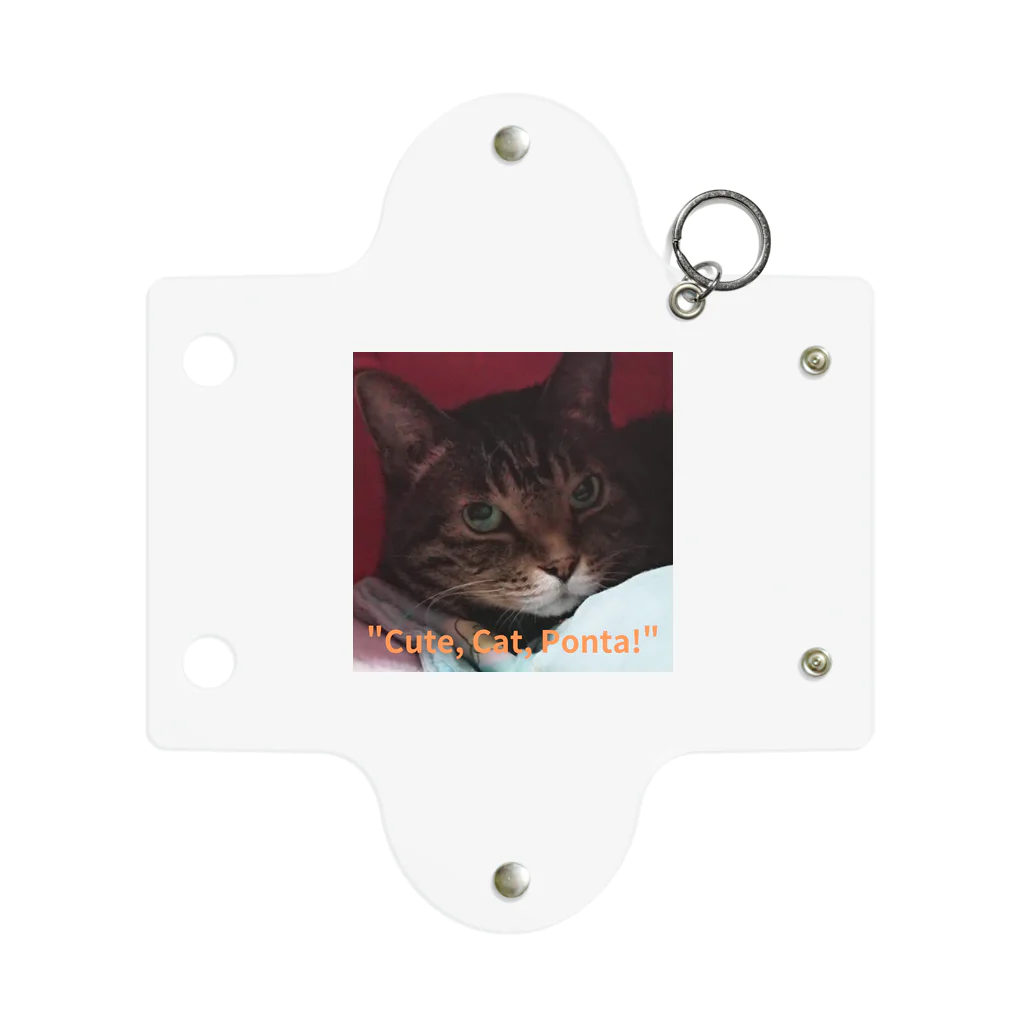 yuo1040yamato Soraの"cute. Cat. Ponta!" Mini Clear Multipurpose Case