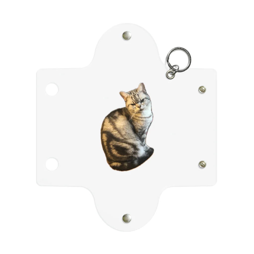 うちの猫ちゃんたちのガン飛ばしとらと Mini Clear Multipurpose Case