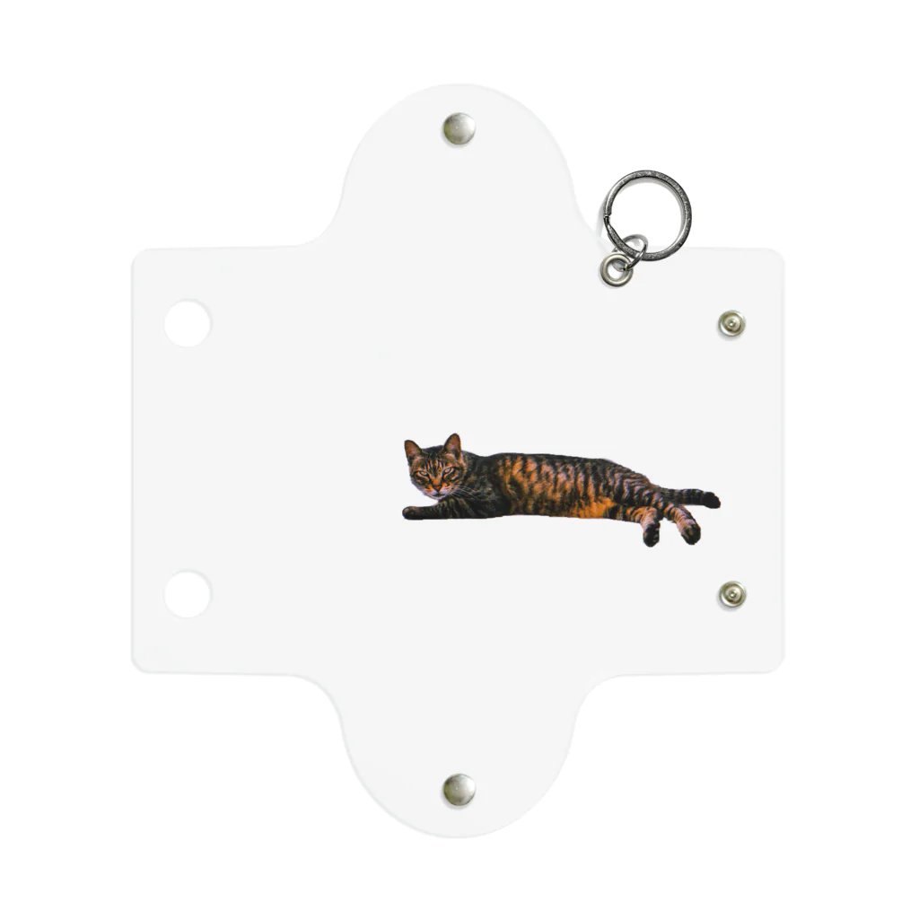 ななめのよそのねこ Mini Clear Multipurpose Case