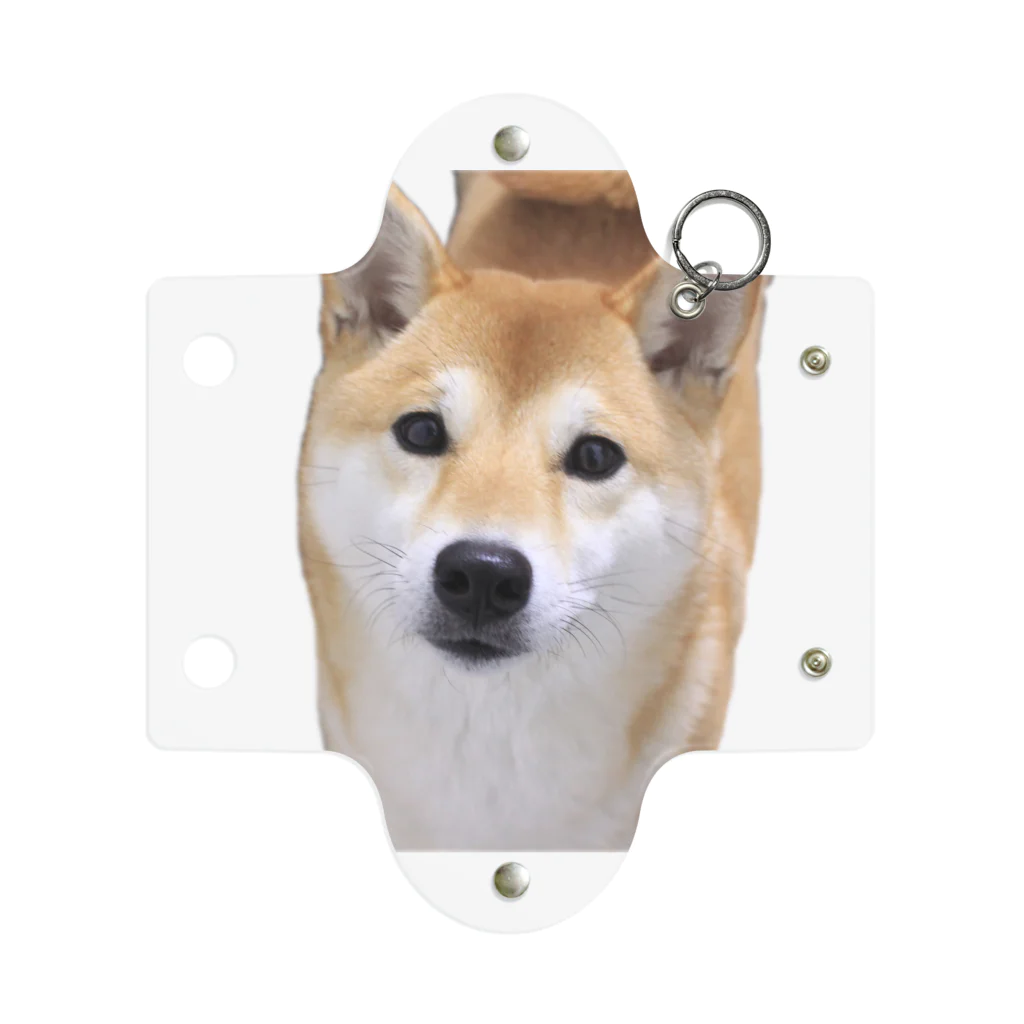 kawaii柴犬のkawaii柴犬 Mini Clear Multipurpose Case