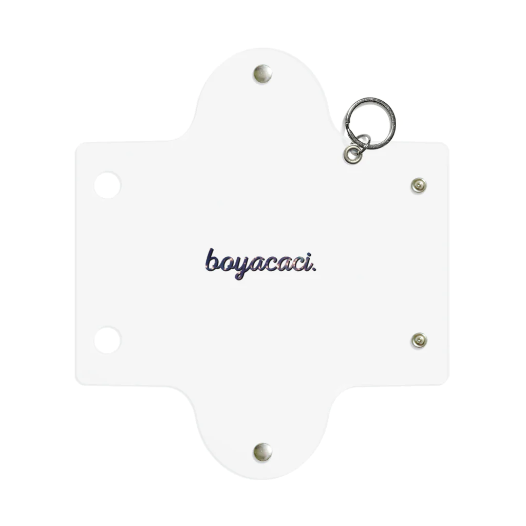 Haruのboyacaci. Mini Clear Multipurpose Case