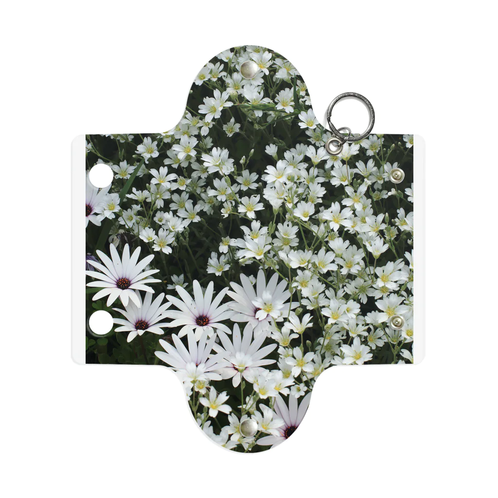 Gardenの白い花畑 ミニクリアマルチケース