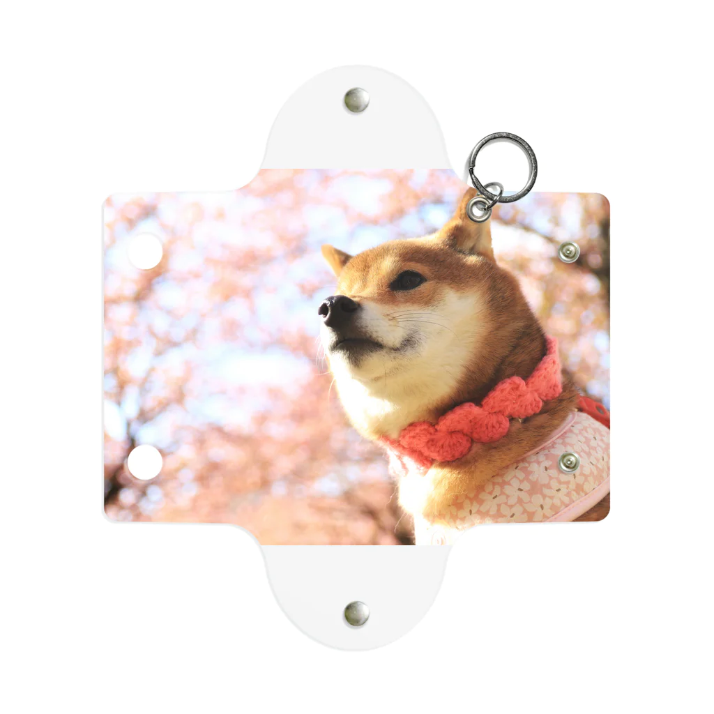 柴犬～日向～の桜と日向 Mini Clear Multipurpose Case