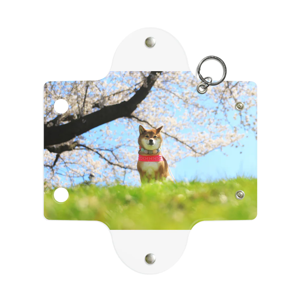 柴犬～日向～の桜と芝と日向 Mini Clear Multipurpose Case