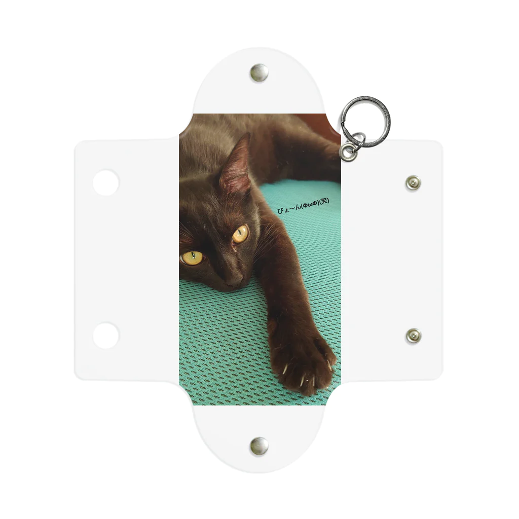 黒猫と三毛と茶トランズの黒猫ジジくんのびょ〜ん Mini Clear Multipurpose Case