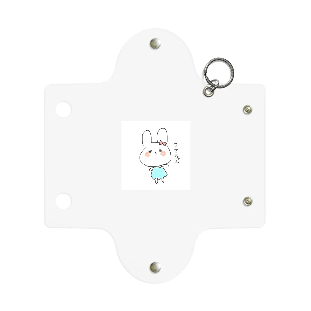 坊ちゃんのうさちゃん Mini Clear Multipurpose Case