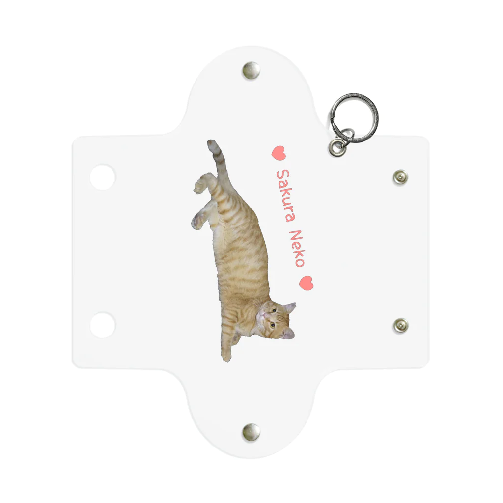 えみちーず（元野良と保護猫の為に🐾）のチャトラまったり🐾(さくらねこ) Mini Clear Multipurpose Case