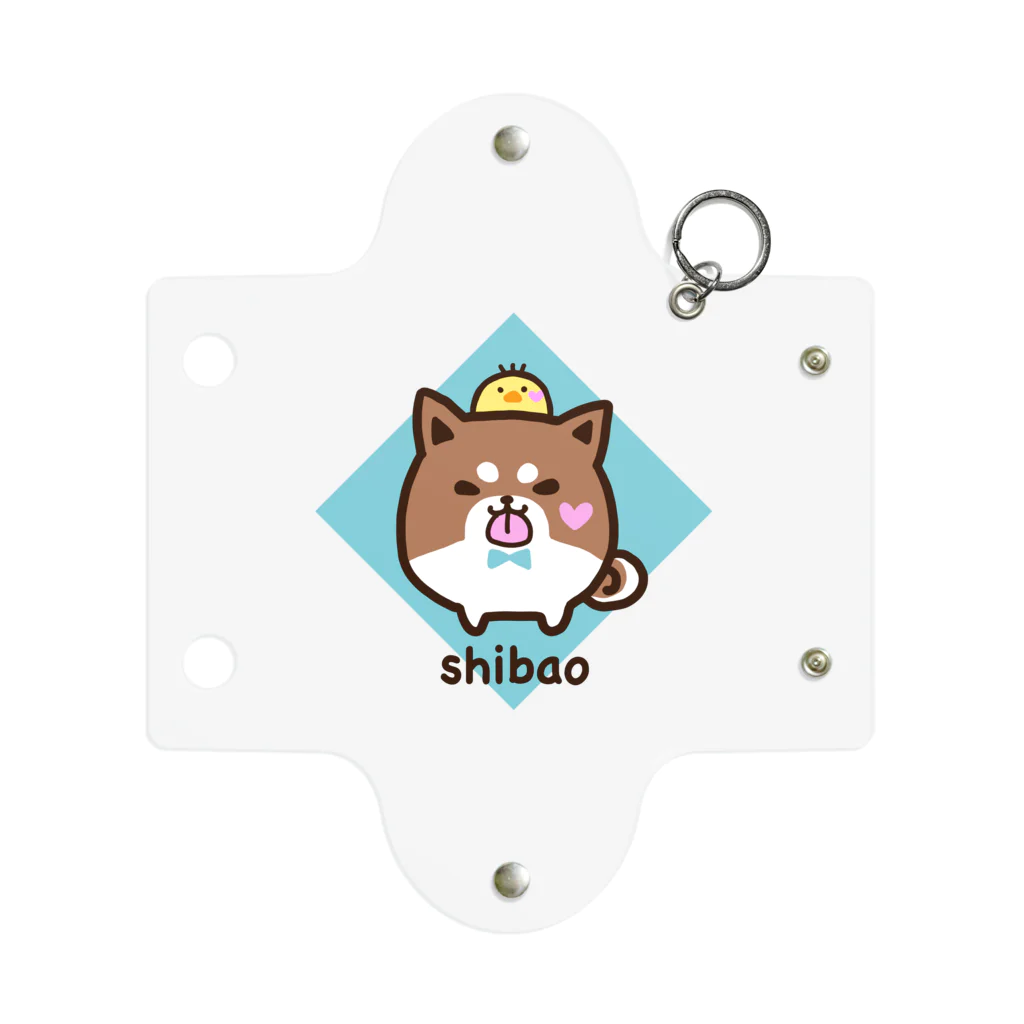 柴尾のShibao Mini Clear Multipurpose Case