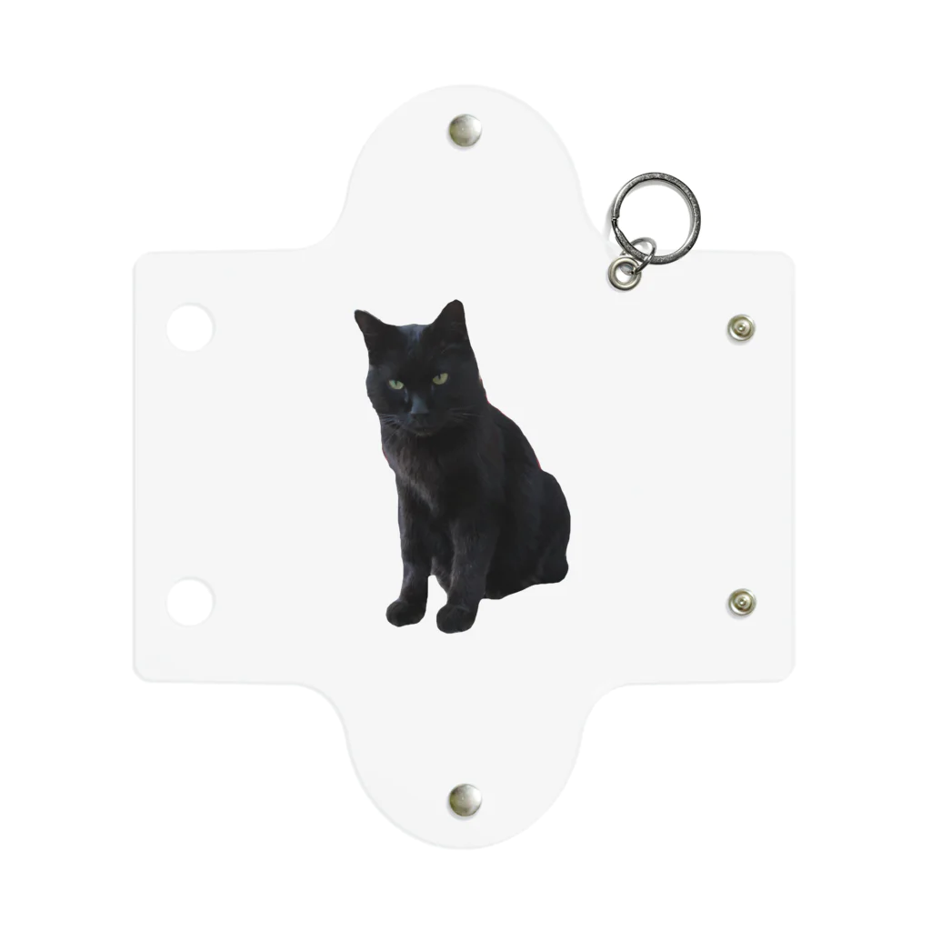 黒猫のふくちゃんの黒猫のふくちゃん Mini Clear Multipurpose Case