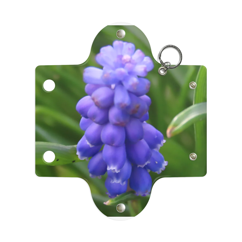 でおきしりぼ子の実験室のMuscari botryoides(1:1) Mini Clear Multipurpose Case