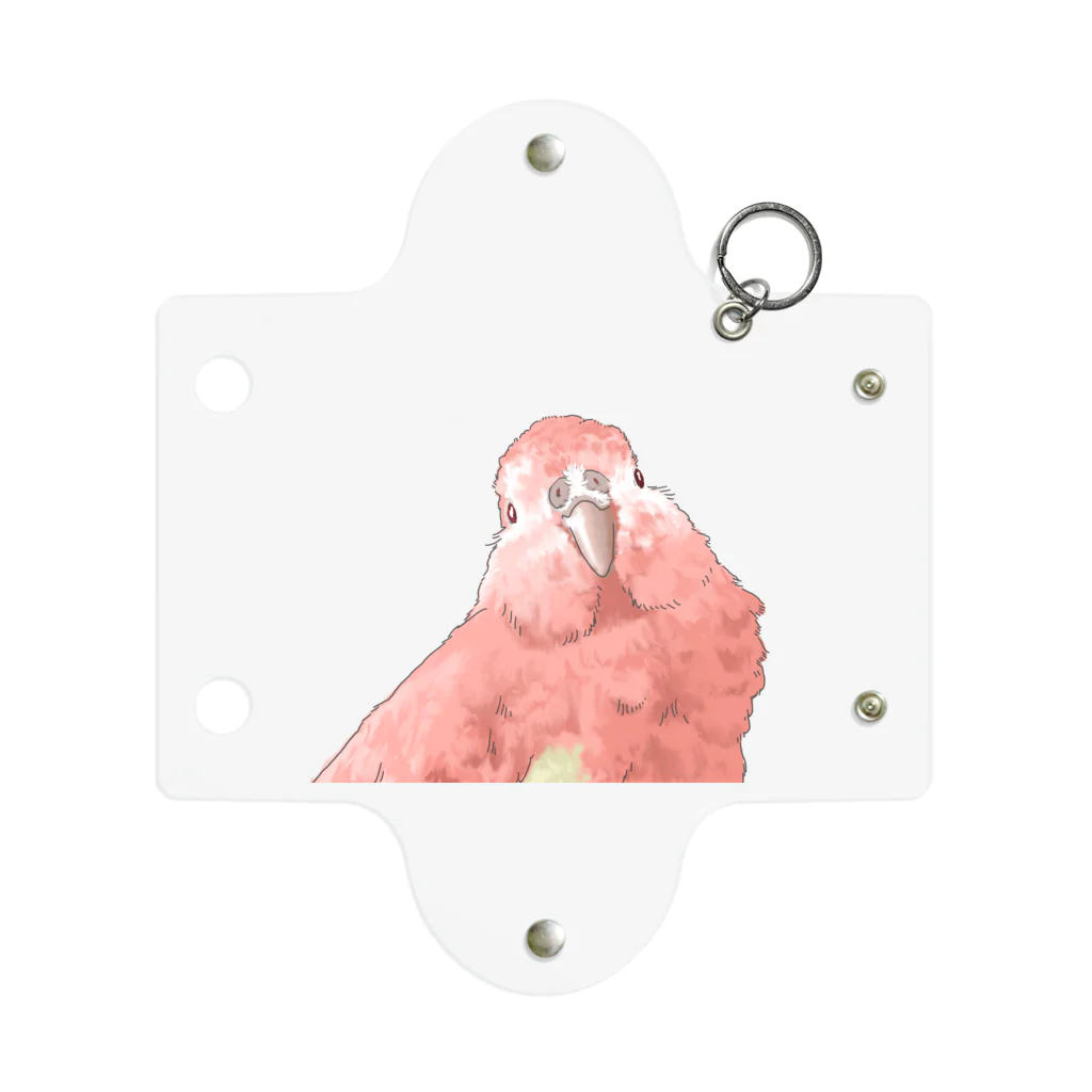 アキクサインコのチャムのアキクサインコのチャム（首かしげ） Mini Clear Multipurpose Case