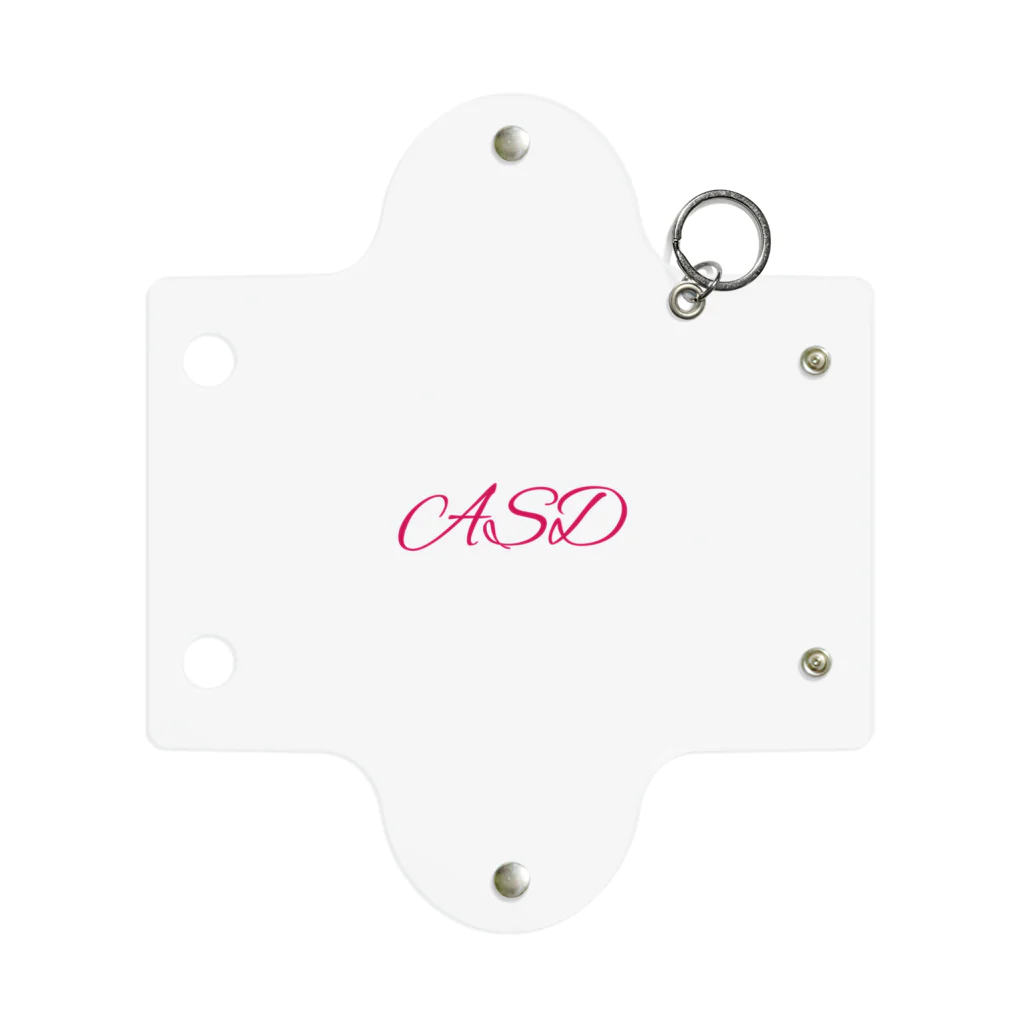 多摩市民のASD Ⅱ Mini Clear Multipurpose Case