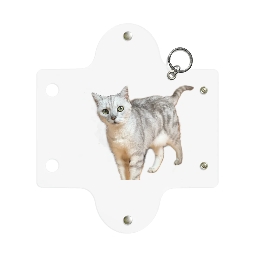 ポメショップの他人の猫 Mini Clear Multipurpose Case