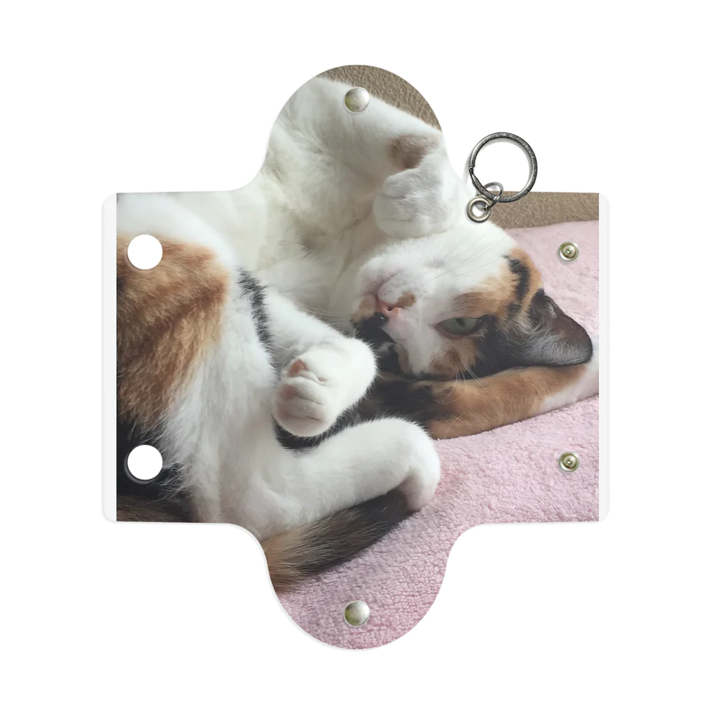 モモさんショップの愛猫モモ Mini Clear Multipurpose Case