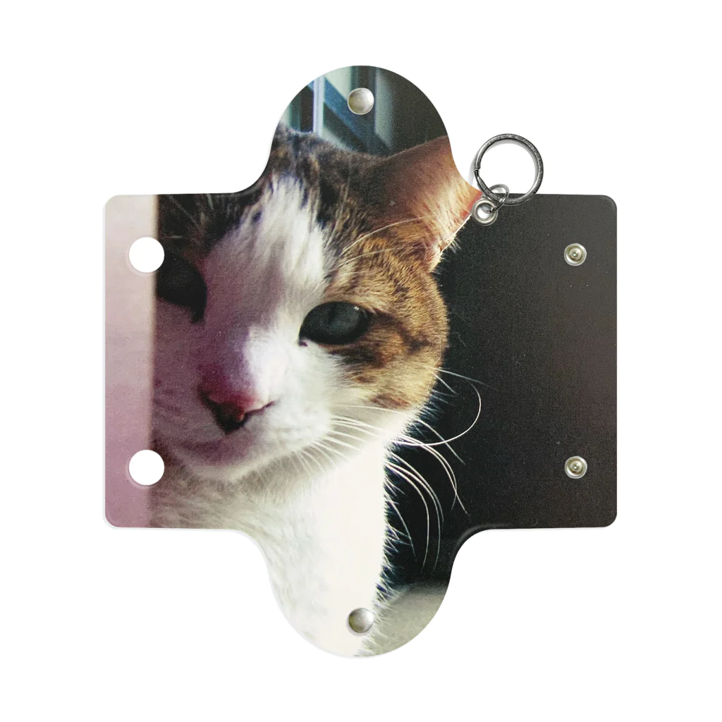 電気羊研究所science&GAMEのチラッと猫 Mini Clear Multipurpose Case