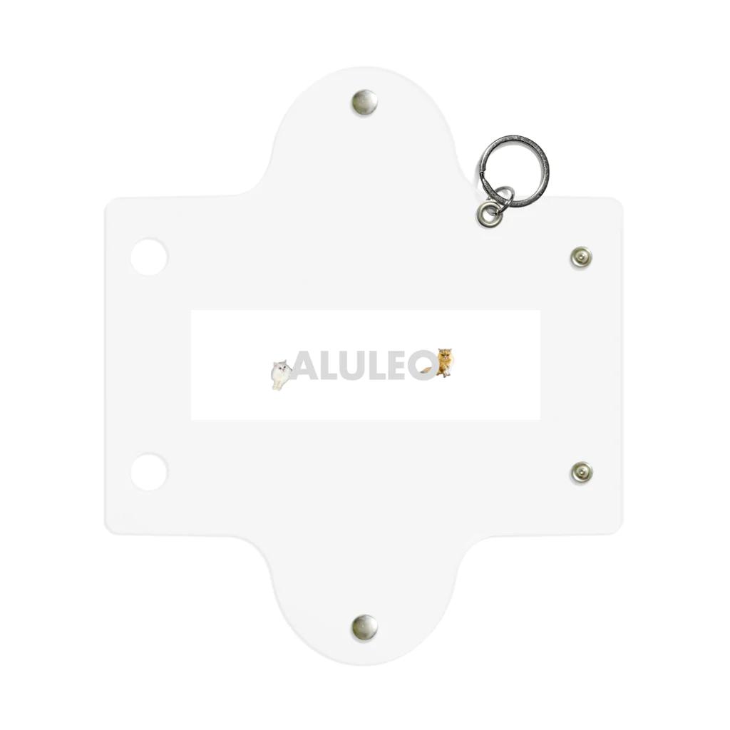 ALULEO アルレオのALULEO Mini Clear Multipurpose Case