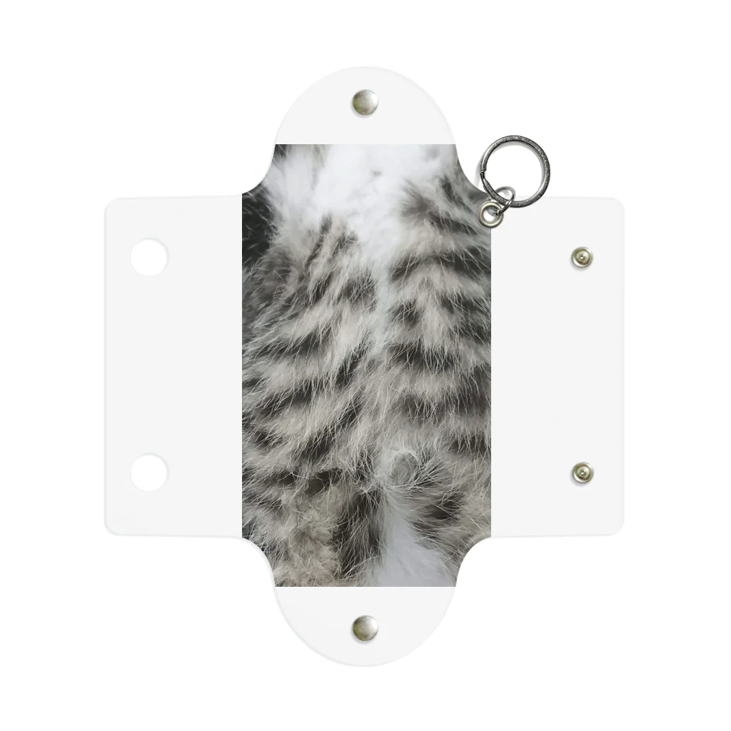 fumaruの猫shopのこねこのおなか Mini Clear Multipurpose Case