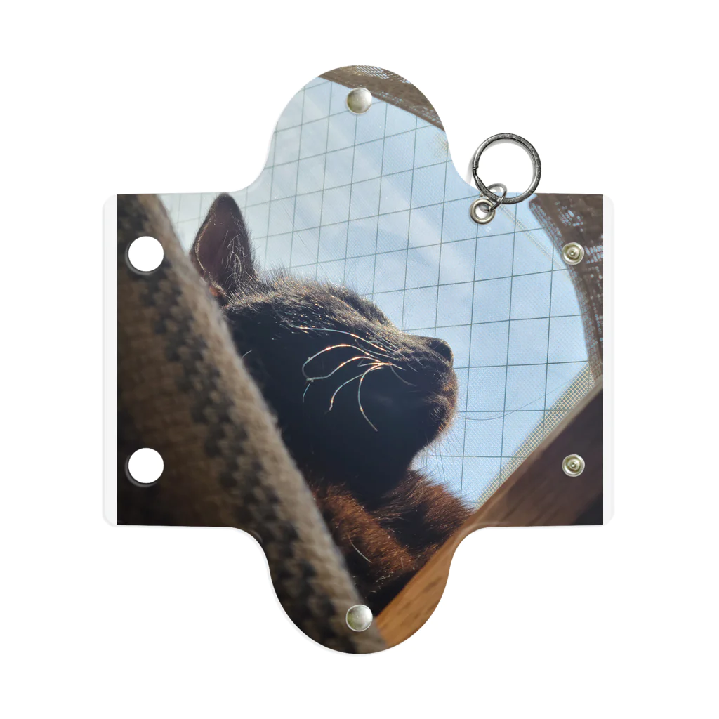 チーかまの黒猫クロくん Mini Clear Multipurpose Case