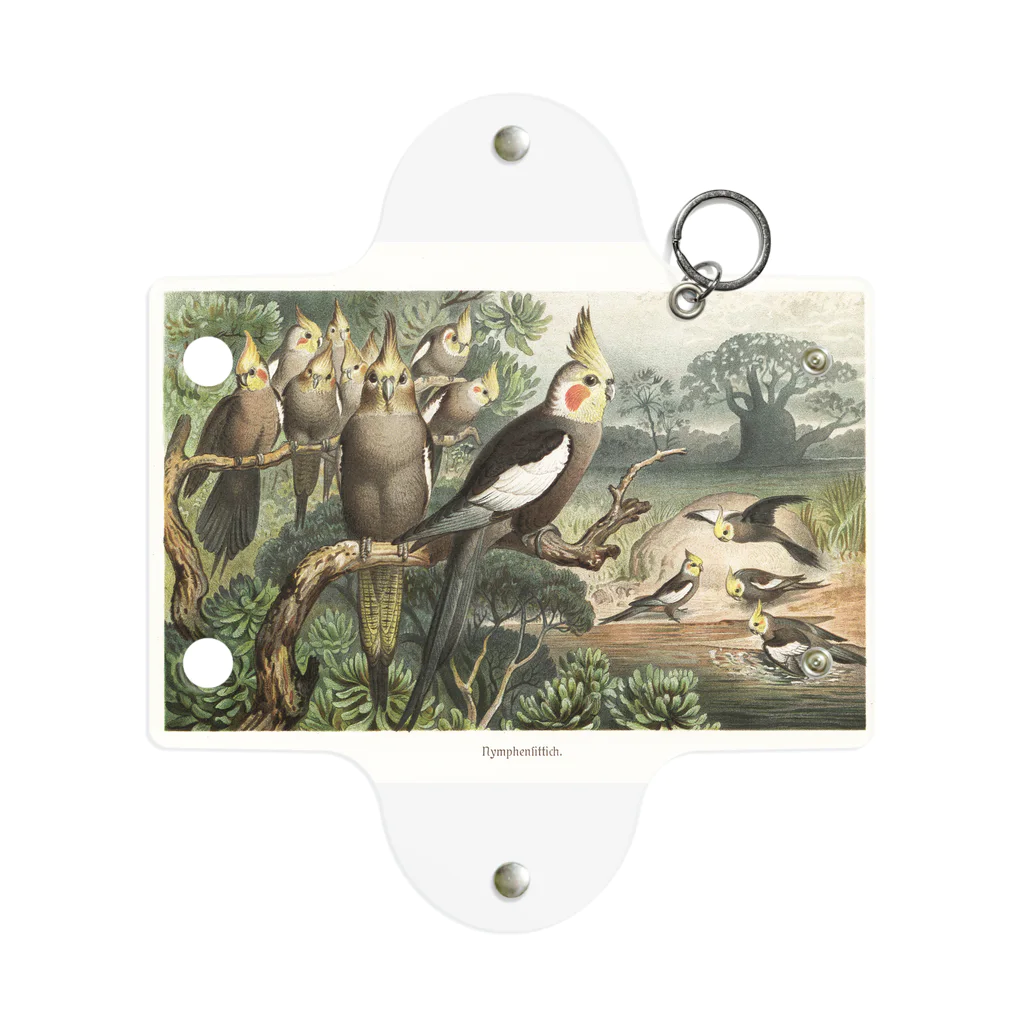 J. Jeffery Print Galleryのオカメインコ Mini Clear Multipurpose Case