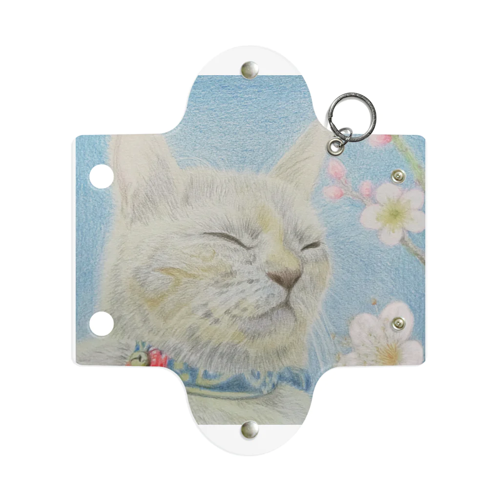 理絵のねこ ぬくぬく Mini Clear Multipurpose Case