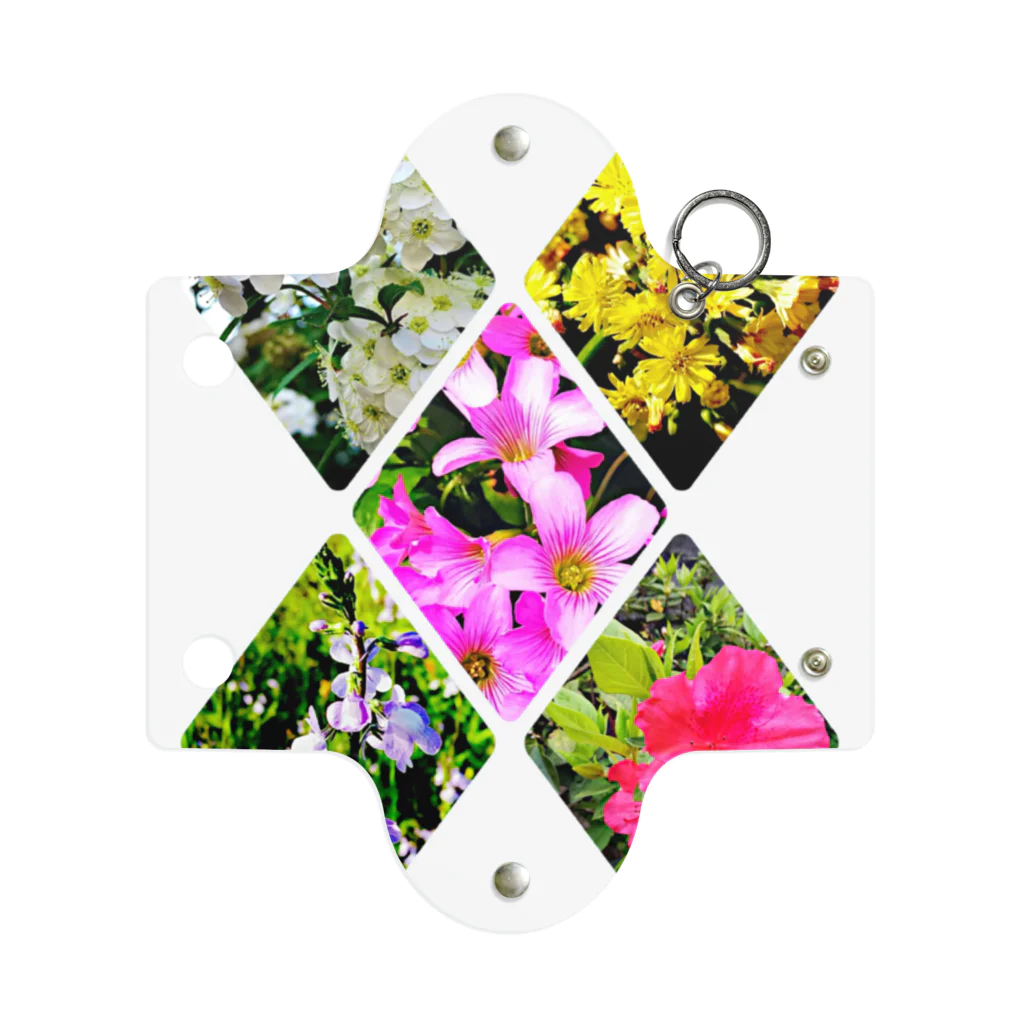 LalaHangeulの野の花シリーズ　X(エックス) Mini Clear Multipurpose Case