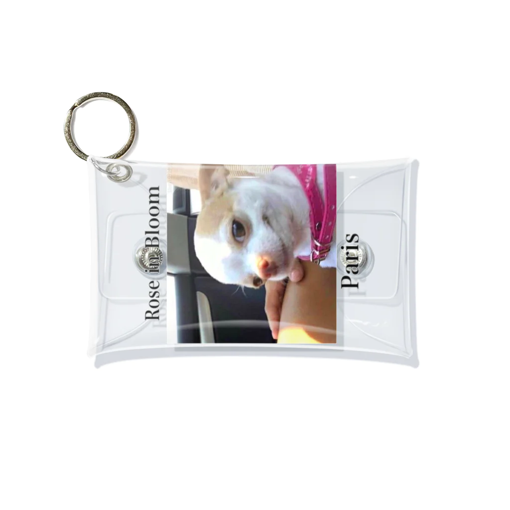 Chihuahua shopのChihuahua Mini Clear Multipurpose Case