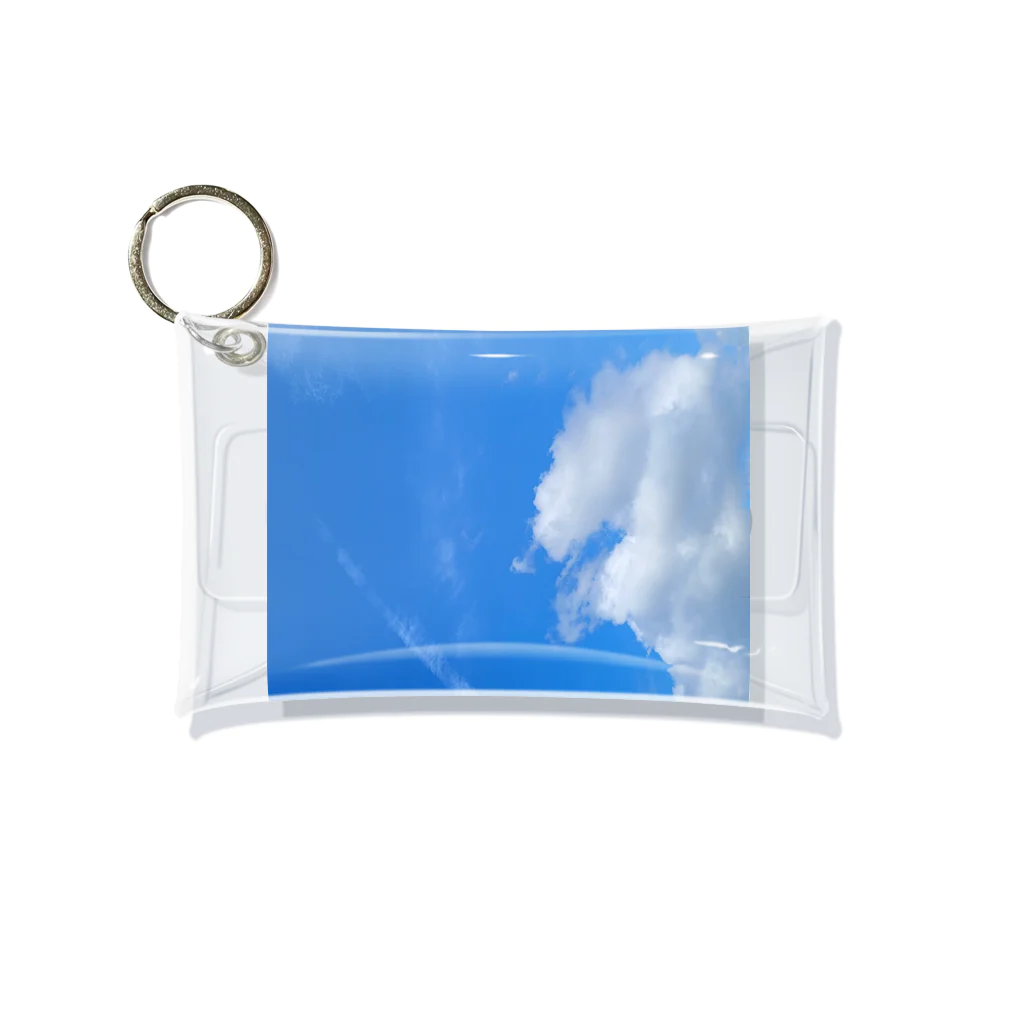 ♪mamashiro♪のリョク君 Mini Clear Multipurpose Case