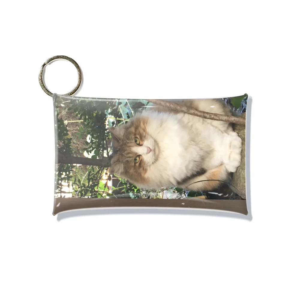 PLANET OF CATS ねこの惑星のmofuneco4 Mini Clear Multipurpose Case