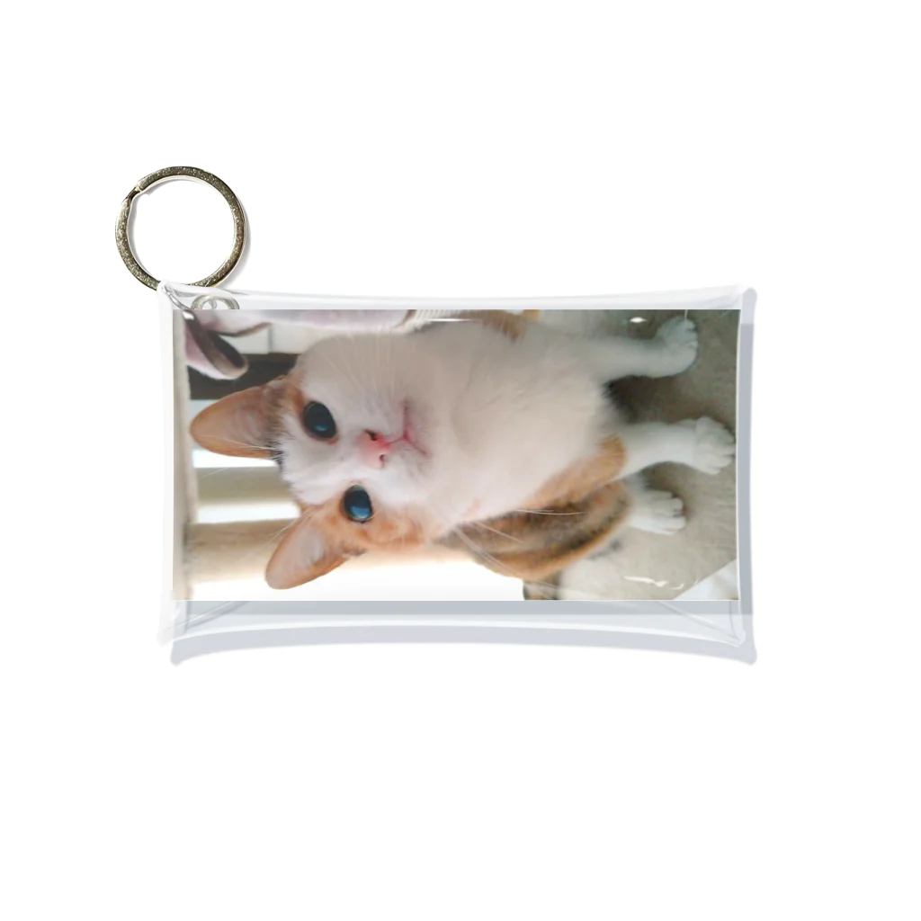 なぅ(ฅ¯ω¯ฅ )🐱🐱🐶🐾のめめたん Mini Clear Multipurpose Case