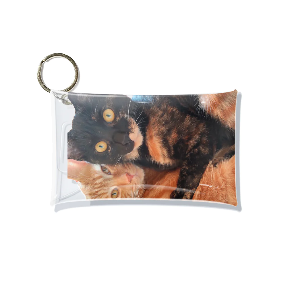 結社黒猫の猫LOVE Mini Clear Multipurpose Case