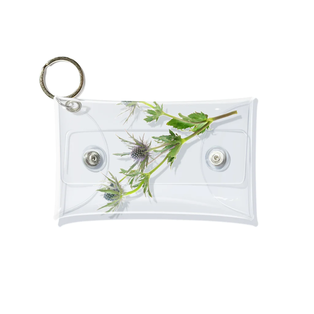 Ficusのエリンジューム Mini Clear Multipurpose Case