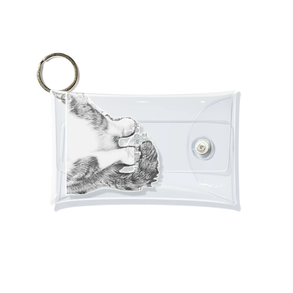 HIDDEN MOON-ARIAKEの16 Mini Clear Multipurpose Case