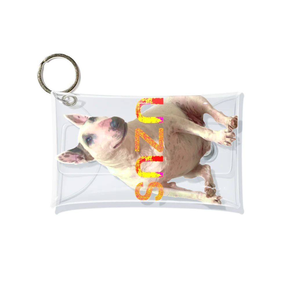 snznのsnzn_BullTerrier Mini Clear Multipurpose Case