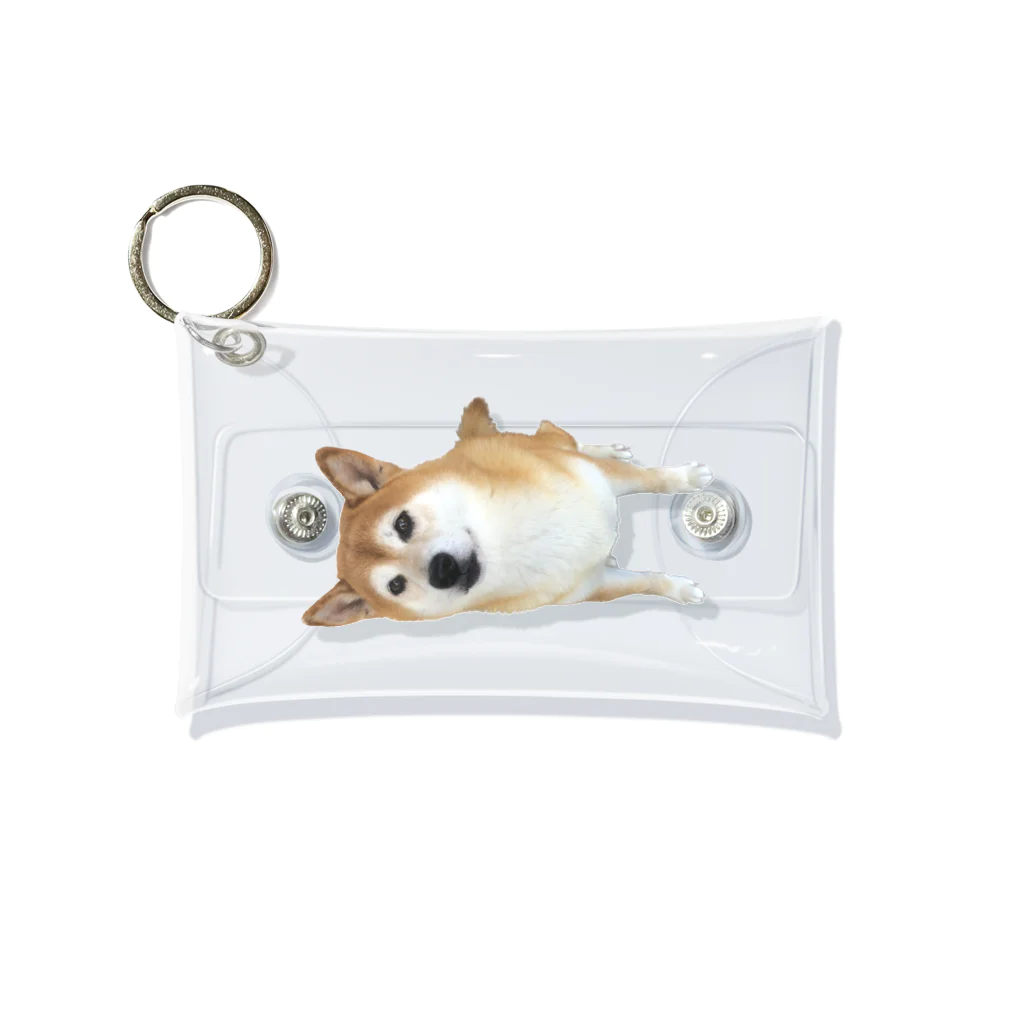 柴犬たろうのうるうるおめ目な柴犬 Mini Clear Multipurpose Case