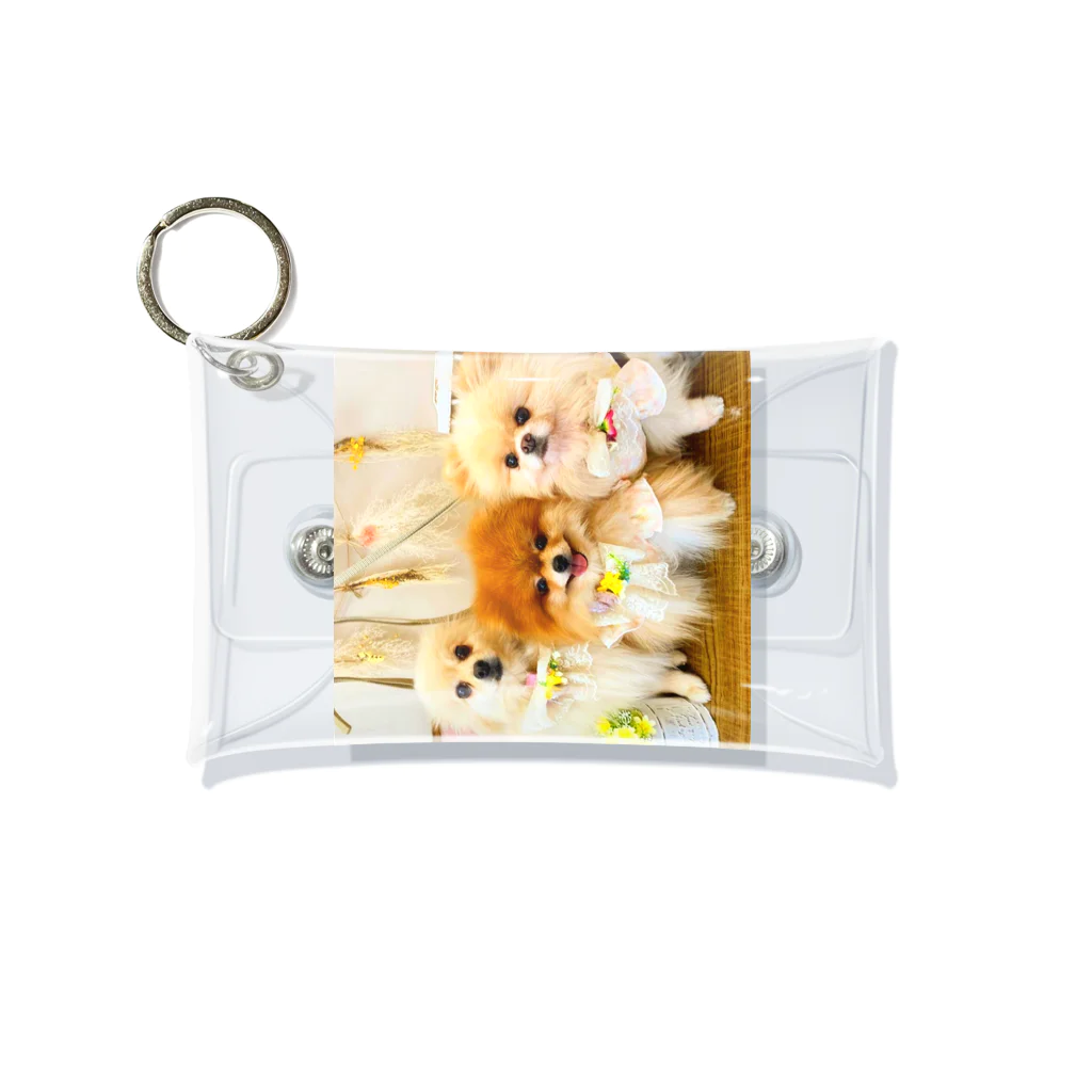 3pomeranian-leo-house　グッズショップのPomeranianlovers　ポメラニアン ミニクリアマルチケース