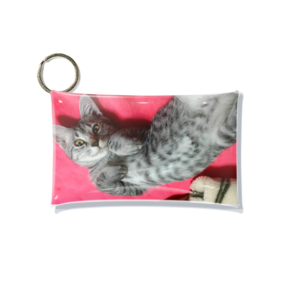 Grayの可愛げがあった頃の猫です｡ Mini Clear Multipurpose Case