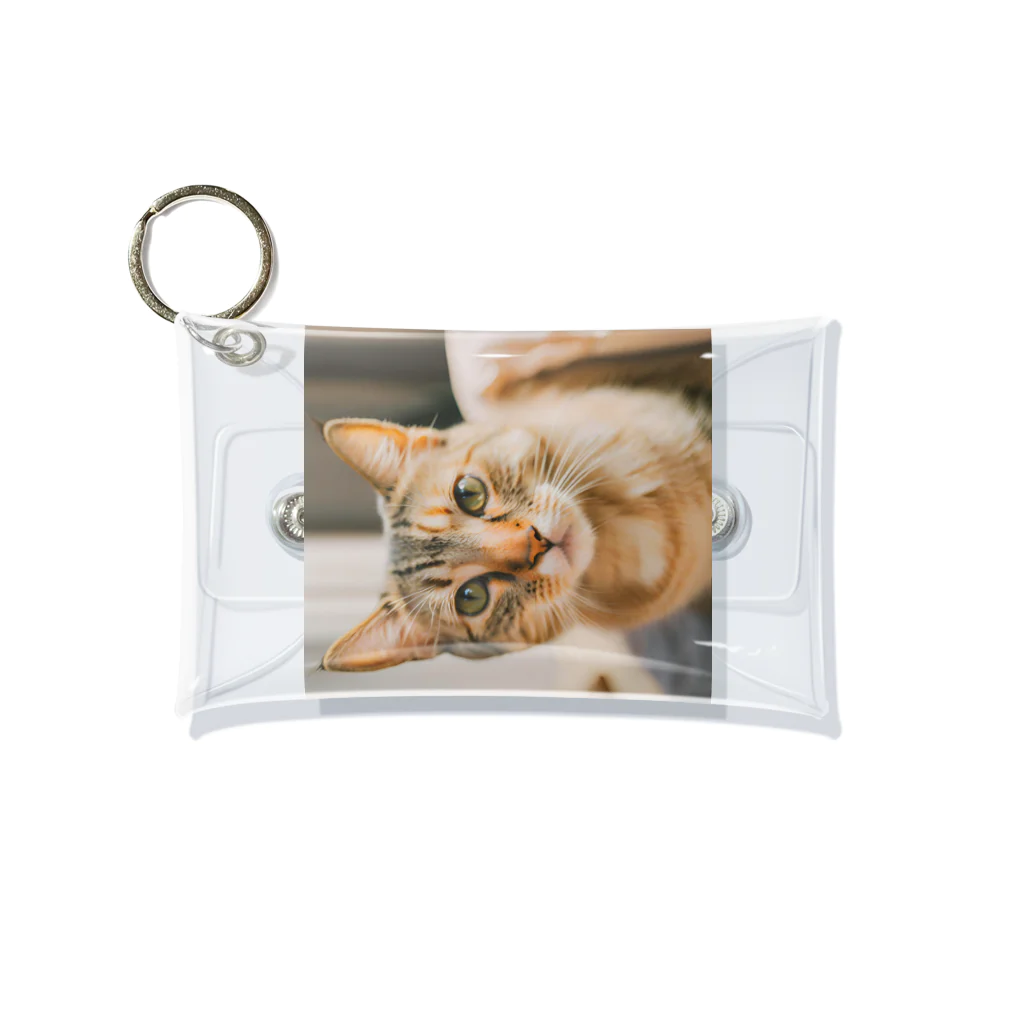 かわいいどうぶつのかわいい猫がプリントされたグッズ Mini Clear Multipurpose Case