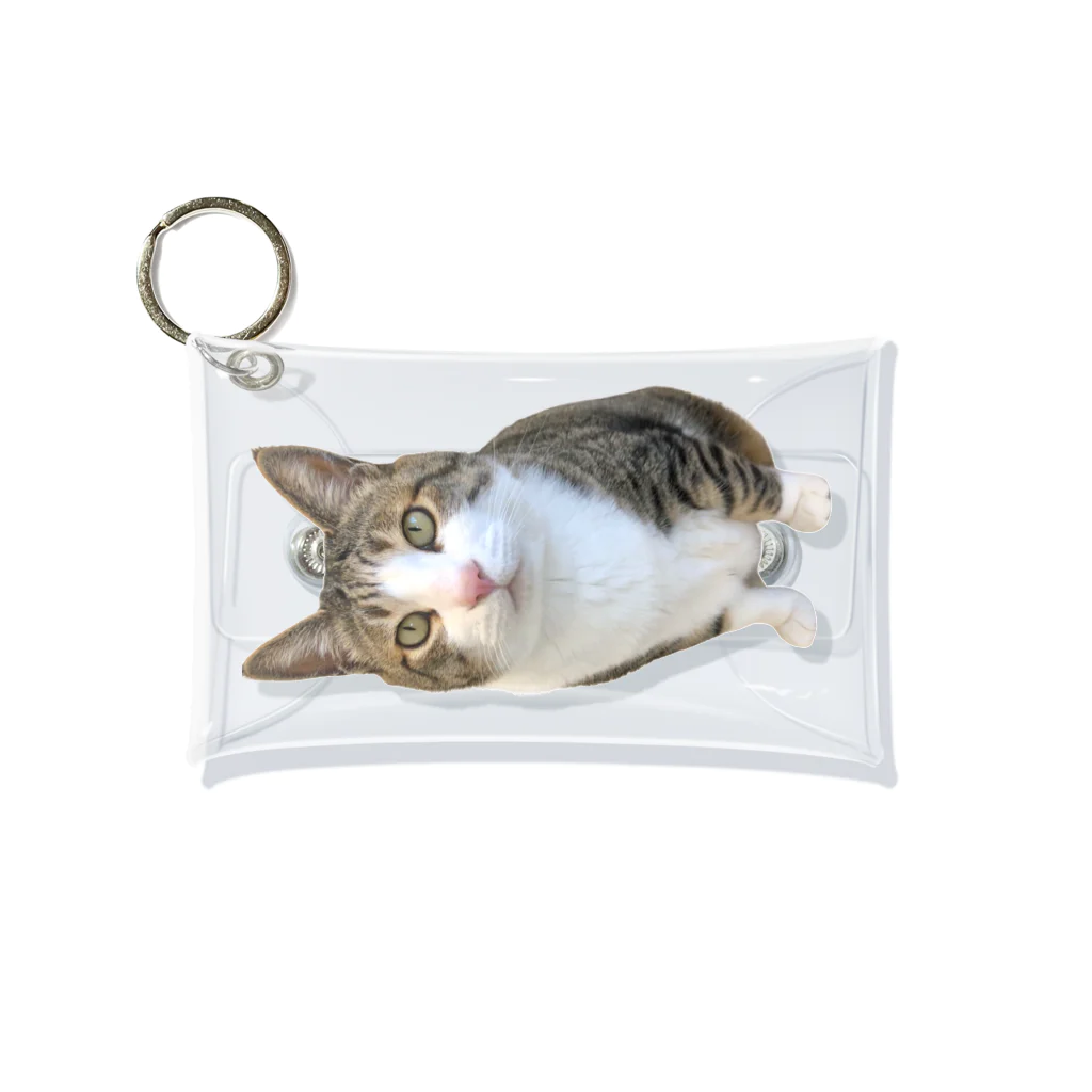 ねこぽてちのポテチくん Mini Clear Multipurpose Case