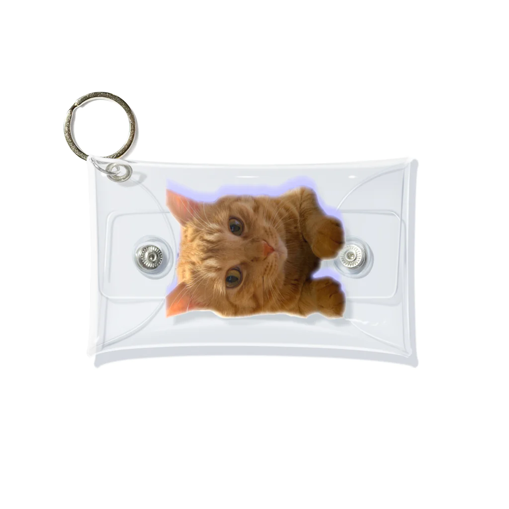 めんけ猫。の我が家の猫くんです。 Mini Clear Multipurpose Case