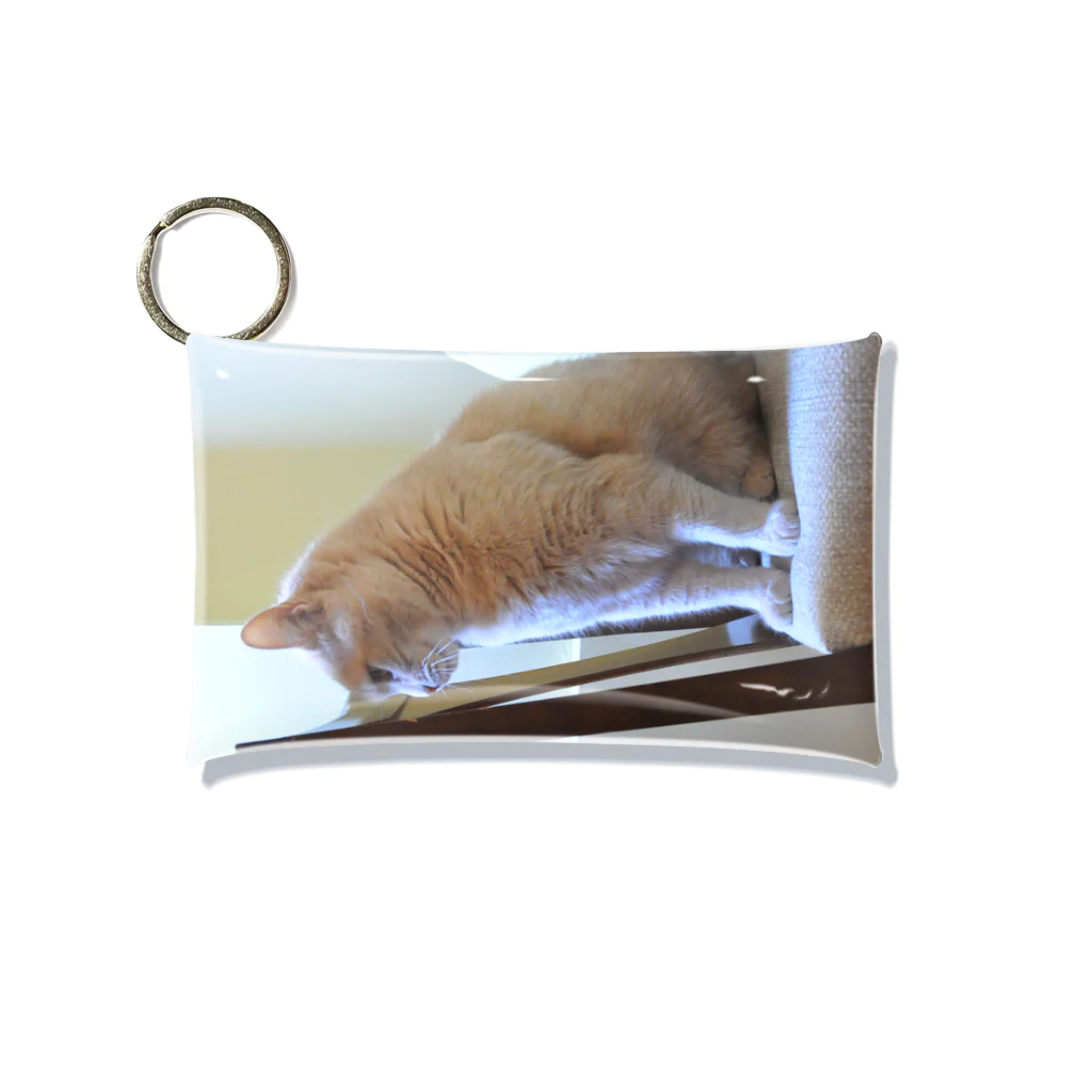 ねこかわたすかるのねこかわたすかる9 Mini Clear Multipurpose Case