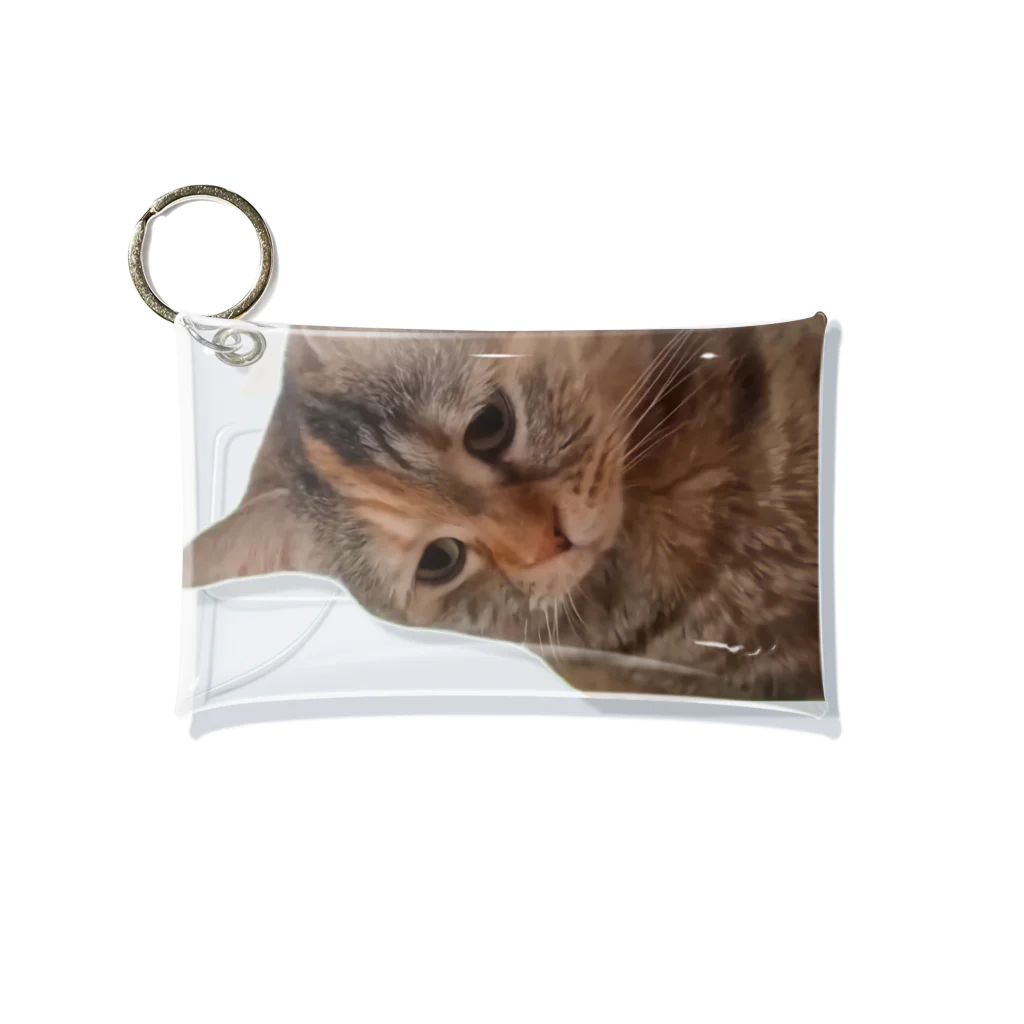 猫ミームグッズの【猫ミーム】叱られる猫 Mini Clear Multipurpose Case