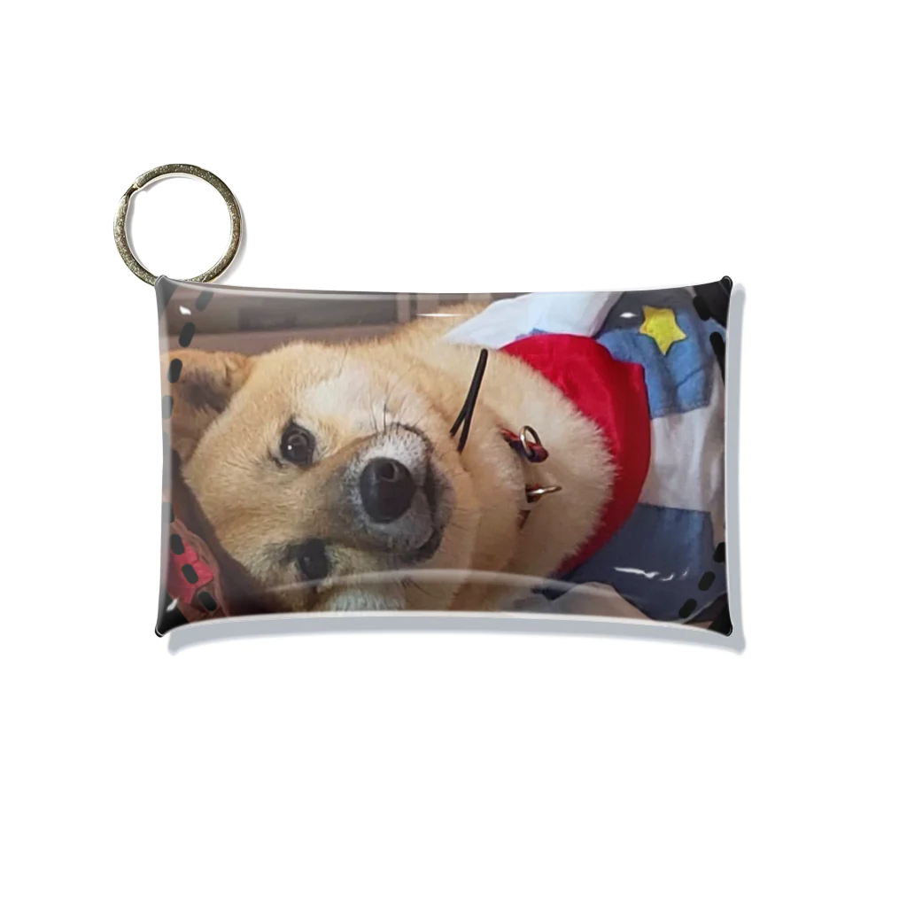 117hibikiの柴犬COOUo･ｪ･oU Mini Clear Multipurpose Case