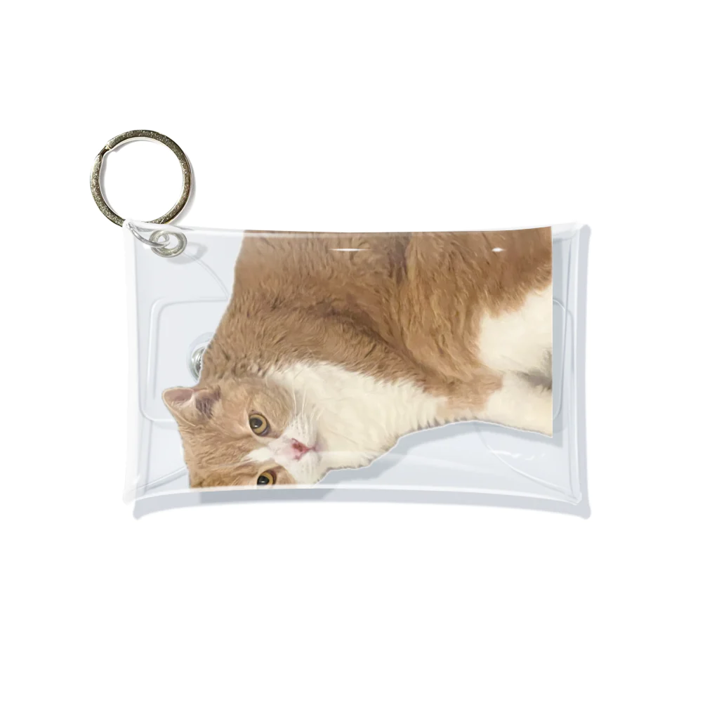 Mashlyのマシロくん猫グッズ Mini Clear Multipurpose Case