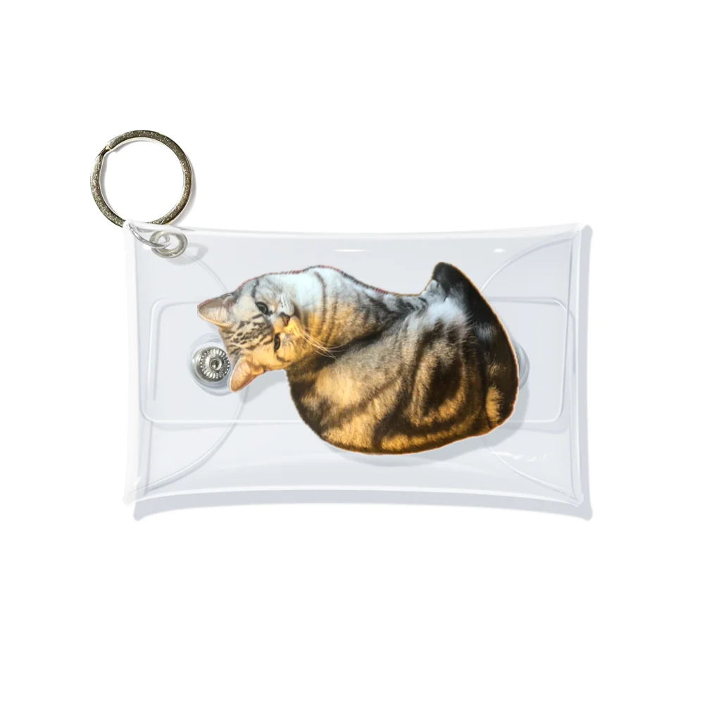 うちの猫ちゃんたちのガン飛ばしとらと Mini Clear Multipurpose Case