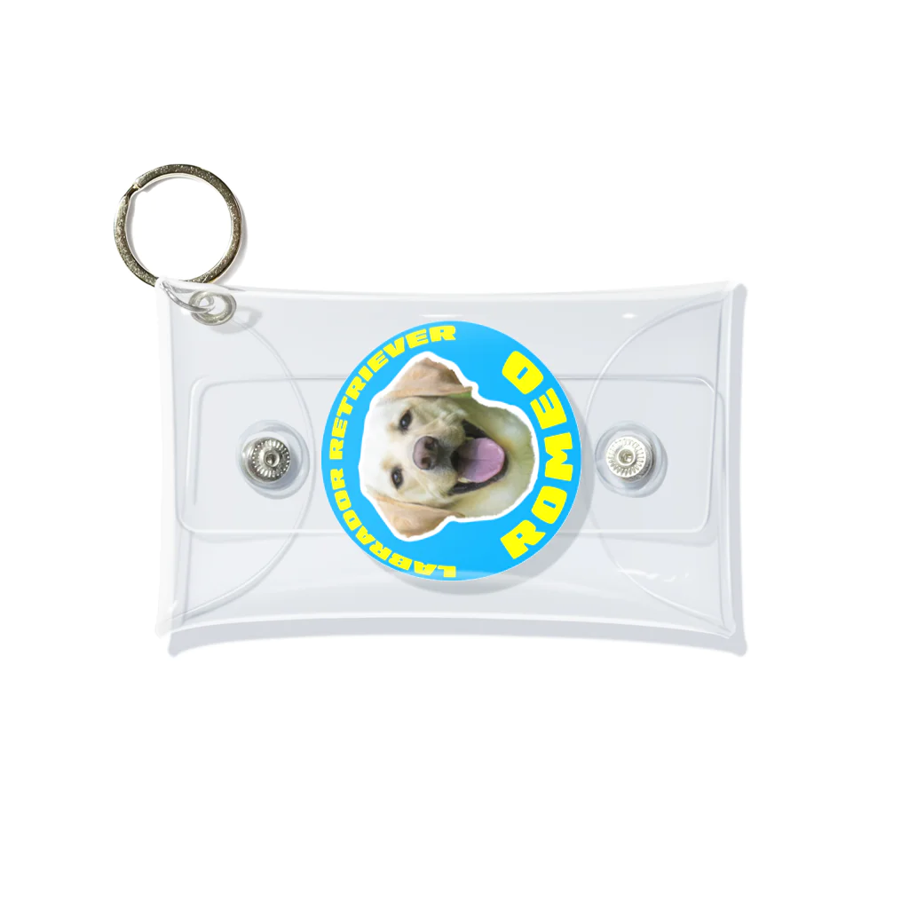 DesigNU(デザイヌ)の【ROMEO】専用 Mini Clear Multipurpose Case